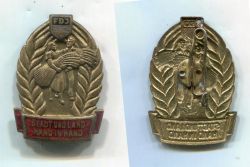Знак ГДР "Город и деревня - Рука об руку". За достижения в сельском хозяйстве